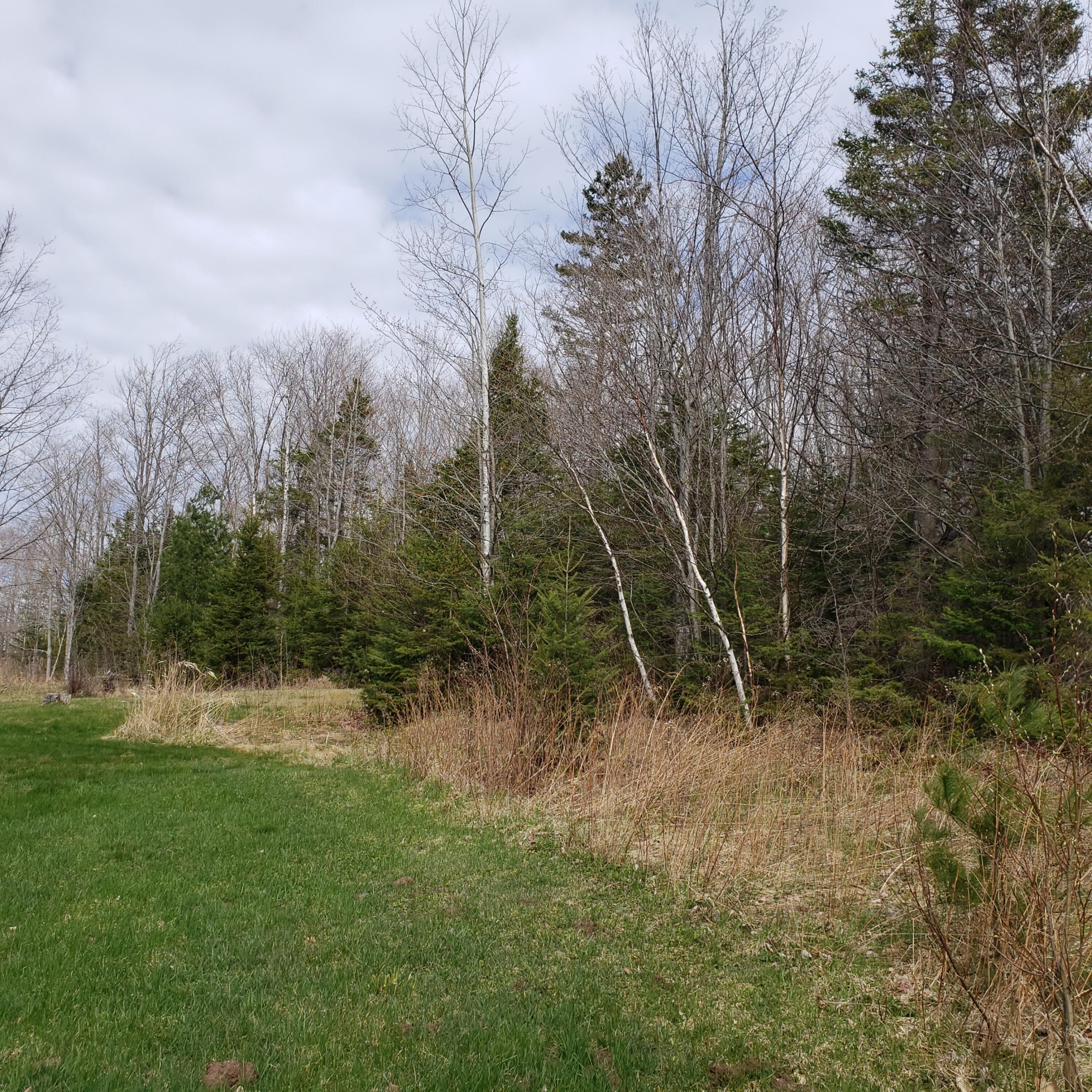 5166 West 11 Mile Road Dafter, MI 49724 - Photo 7 of 33 Gallery Image 7