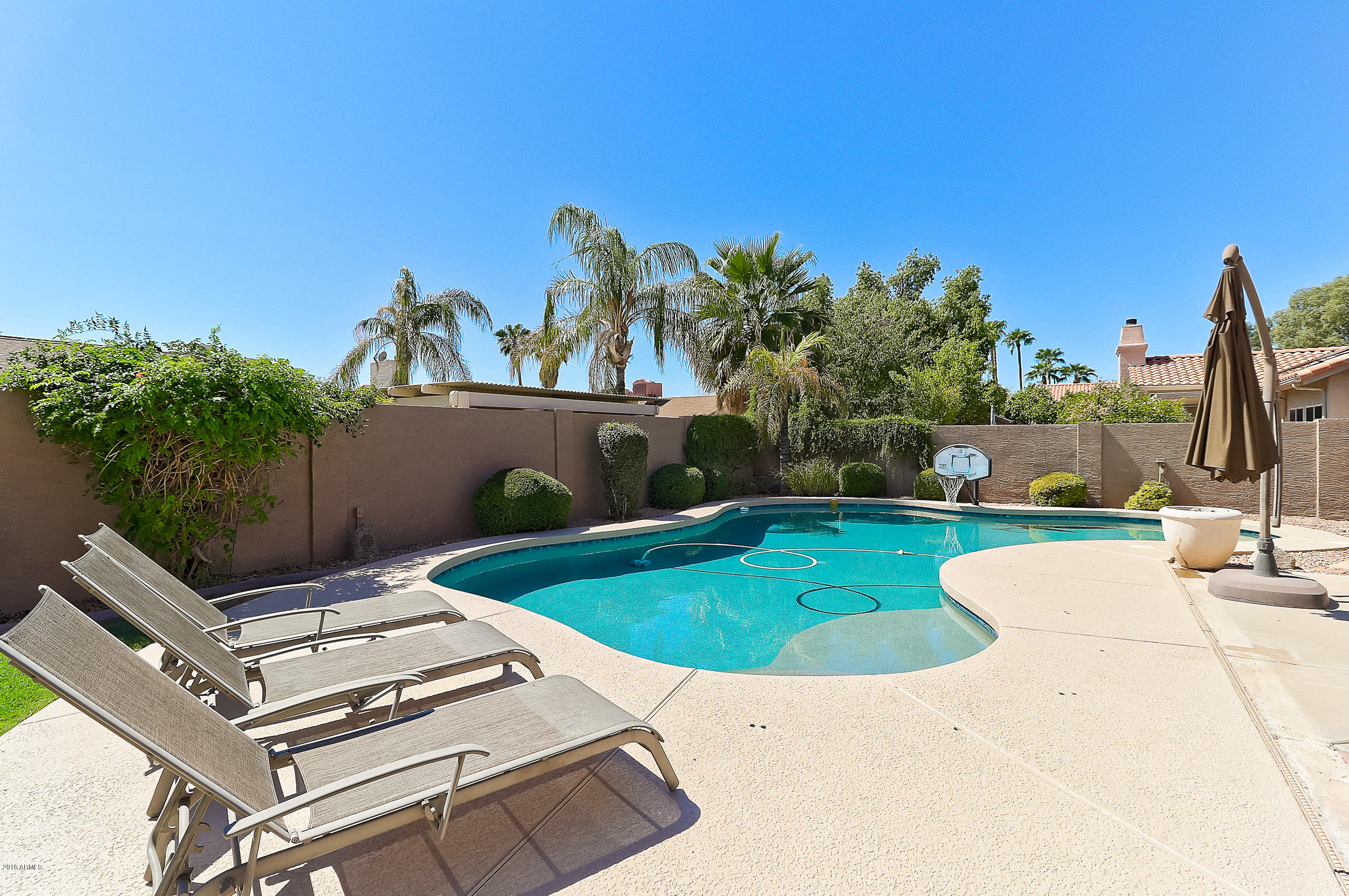 4623 East Hearn Road Phoenix, AZ 85032 - Photo 40 of 46 Pool 2