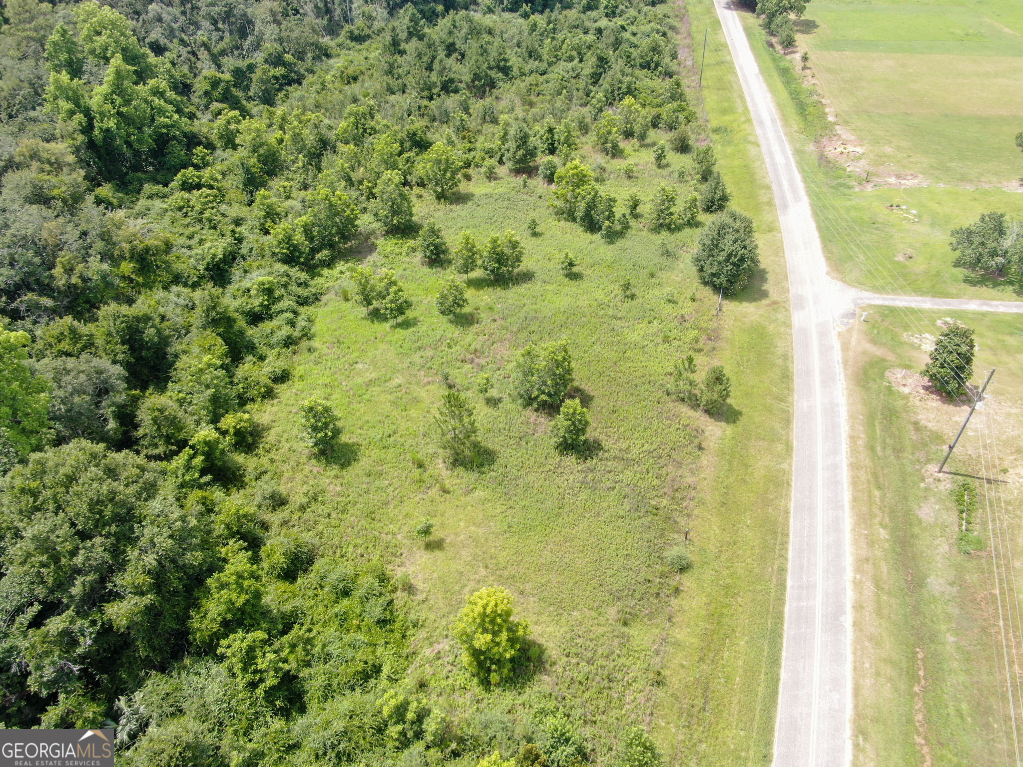 2512 Beulah Church Road Alma, GA 31510 - Photo 49 of 59
