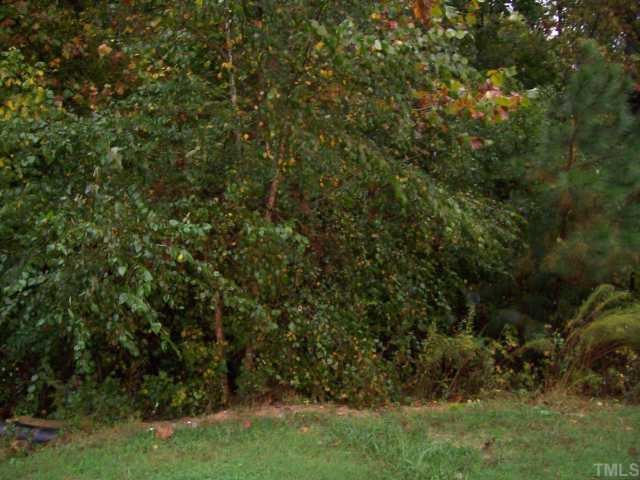 2221 Violet Court Raleigh, NC 27610 - Photo 7 of 9 Plenty of wooded back yard privacy!!!