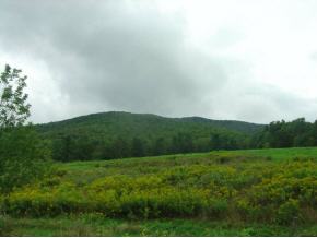 3763 River Road Arlington, VT 05250 - Photo 5 of 5 Gallery Image 5