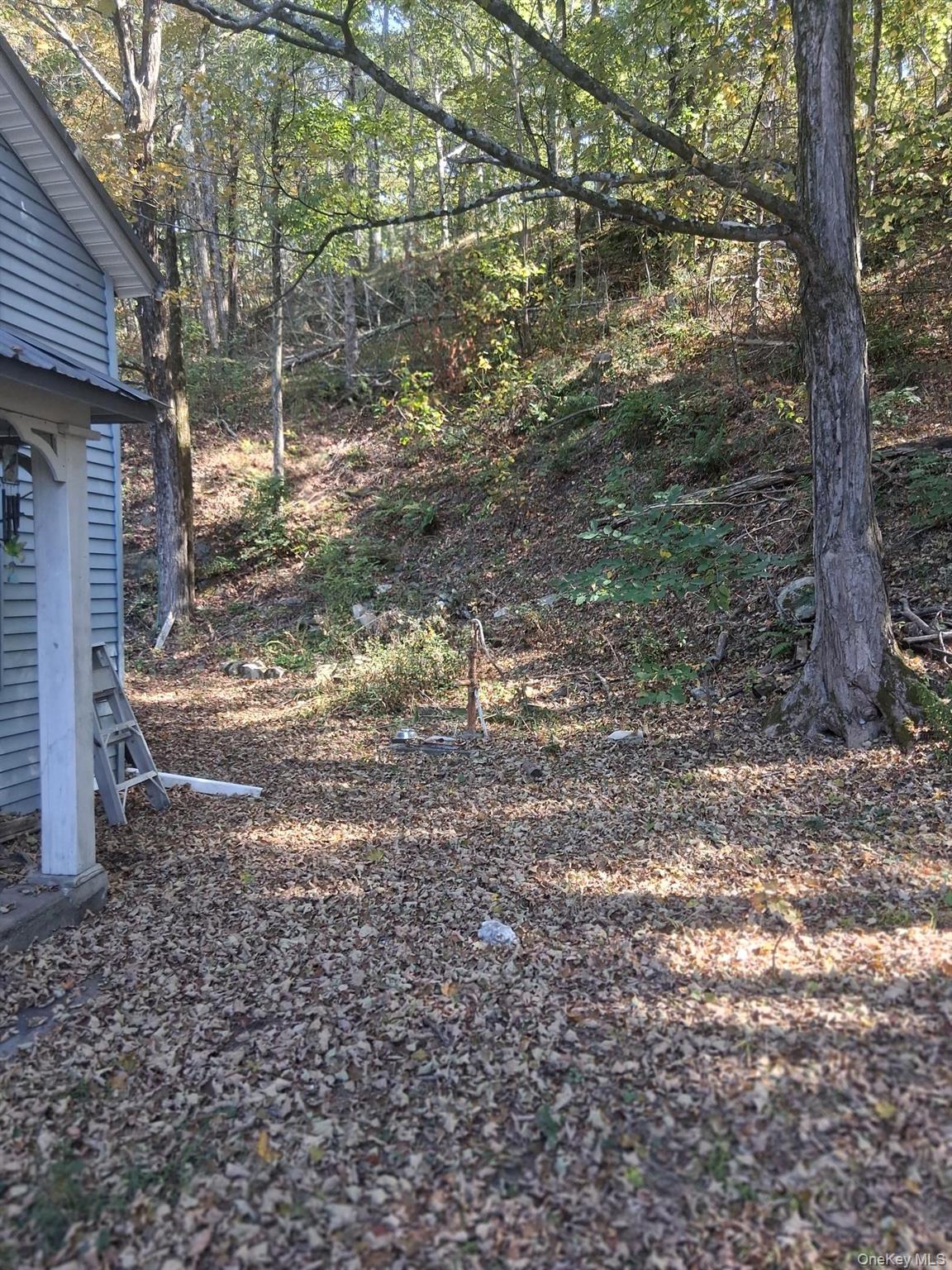 84 N Road Red Hook, NY 12571 - Photo 15 of 22 View of yard