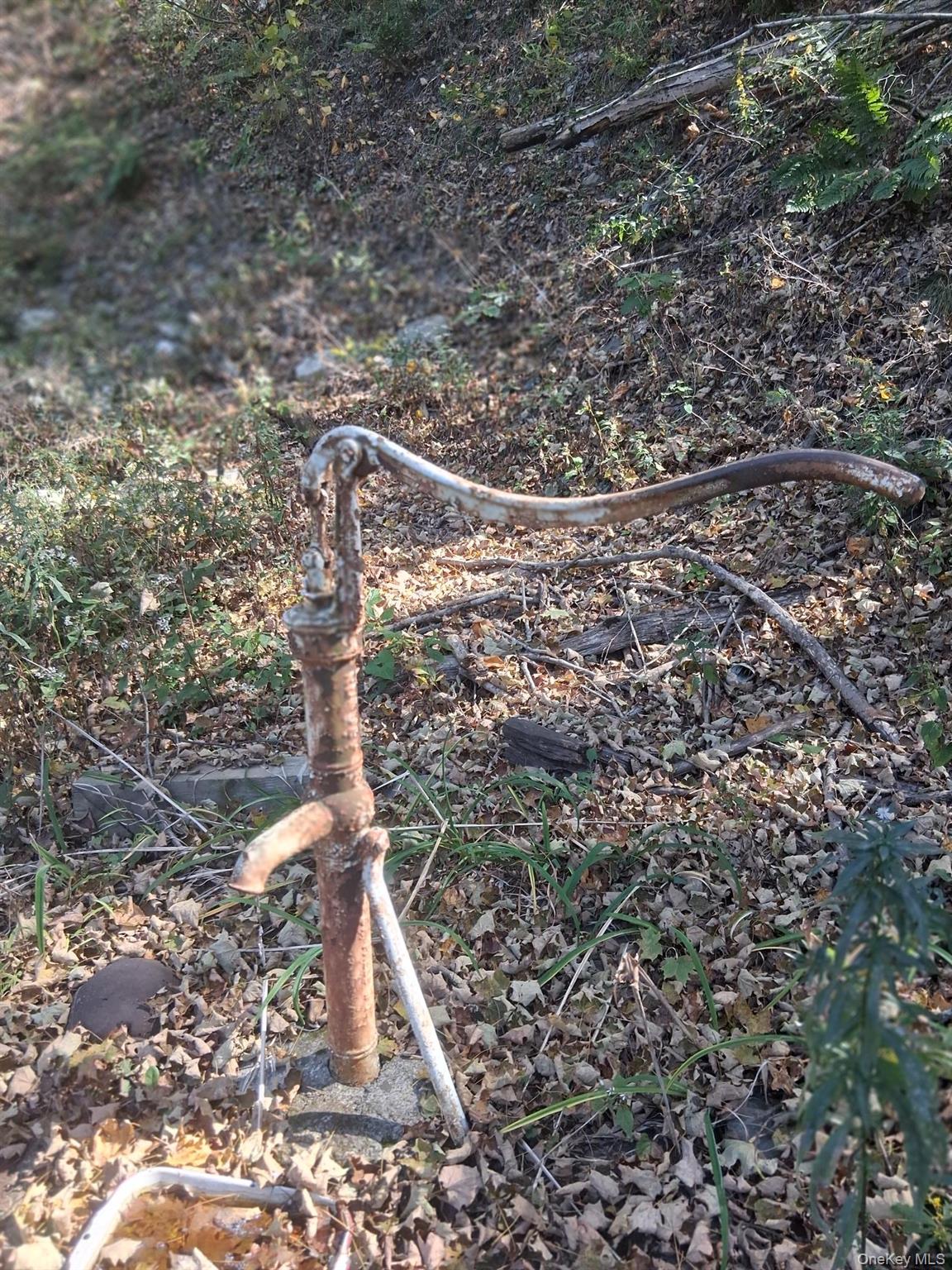 84 N Road Red Hook, NY 12571 - Photo 18 of 22 Exterior view