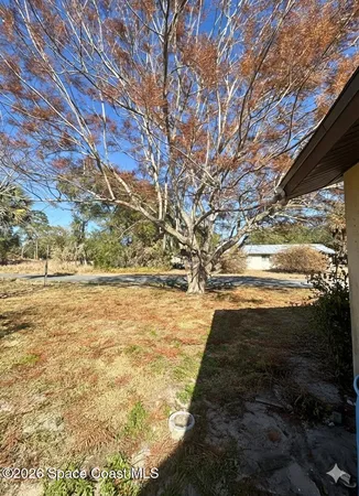 a view of yard with large trees