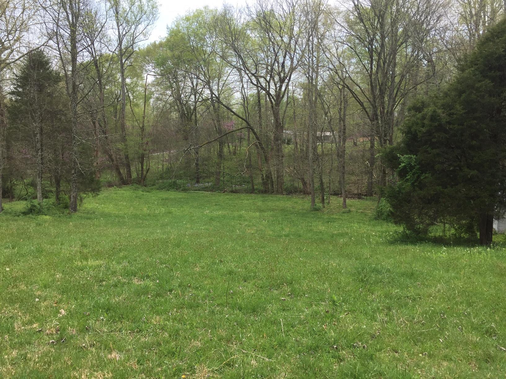 250 Rook Hollow Road Eubank, KY 42567 - Photo 23 of 51 IMG_9980