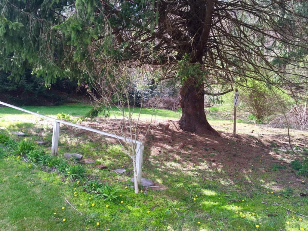 6759 Stephens Road Wise, VA 24293 - Photo 24 of 29 Photo 24