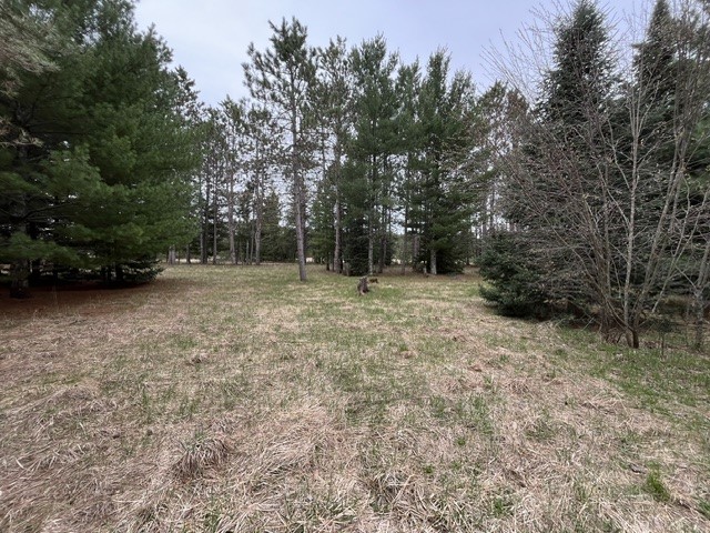 9868 Autumn Moon Road Hayward, WI 54843 - Photo 10 of 13