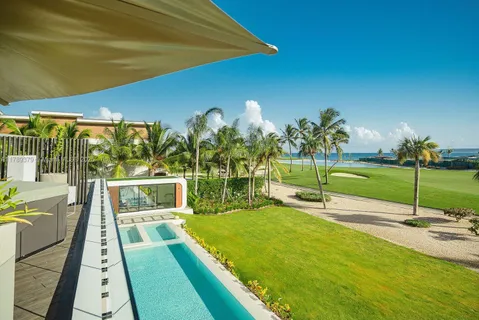 a view of a backyard with a garden and plants
