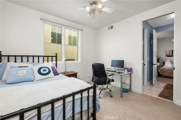 a view of a yard with plants and a bench