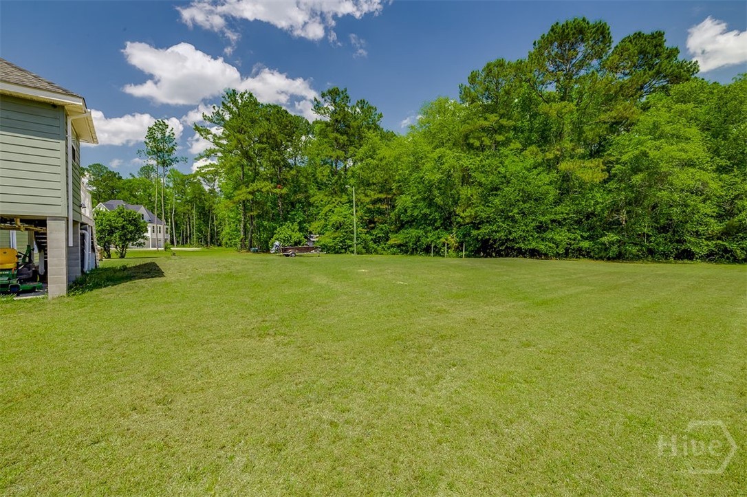 391 Hawk Hammock Road Springfield, GA 31329 - Photo 37 of 38