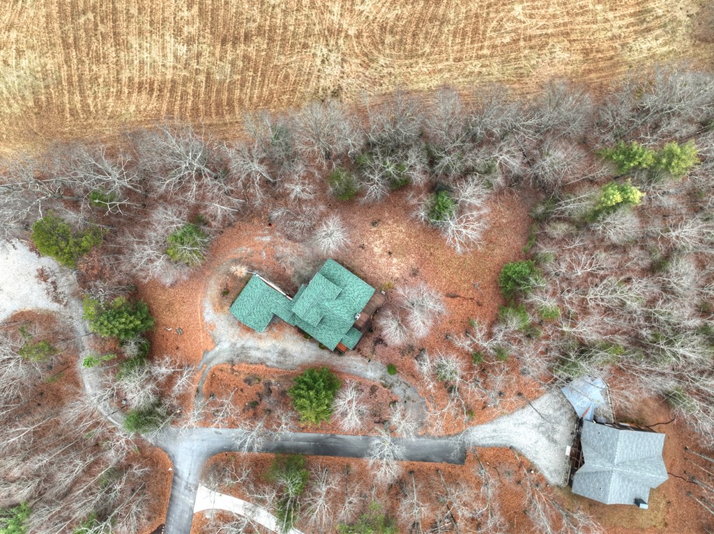 61 Spring Ridge Trail Morganton, GA 30560 - Photo 2 of 52