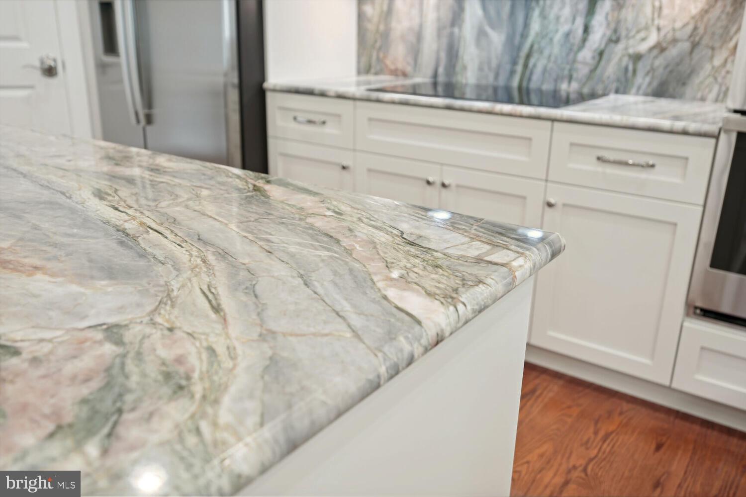 6407 West Halbert Road Bethesda, MD 20817 - Photo 25 of 71 Michelangelo Quartzite Countertops