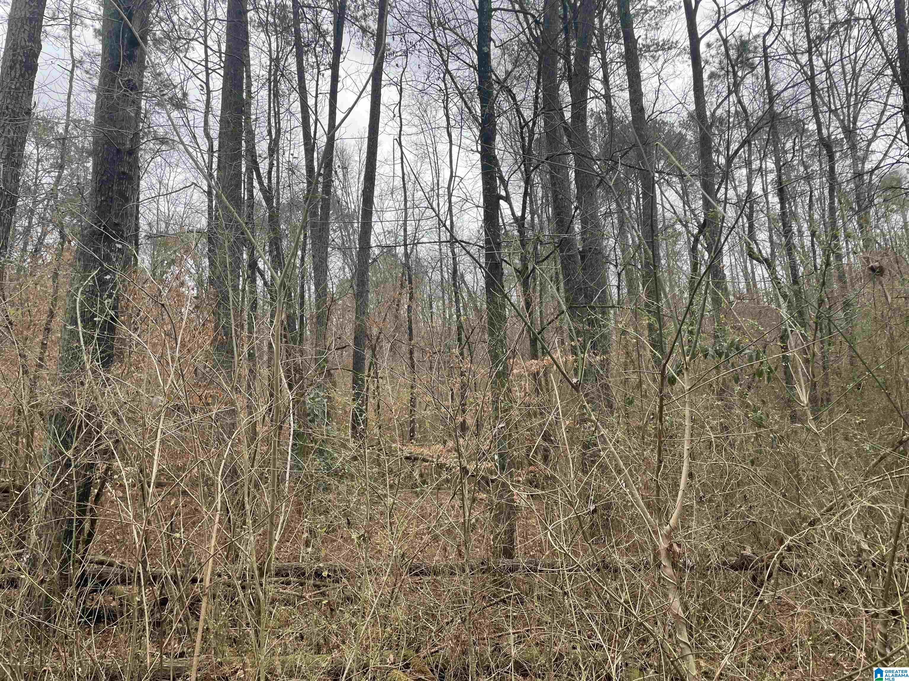 140 Warrior Robbins Road, Unit 2 Warrior, AL 35180 - Photo 2 of 6