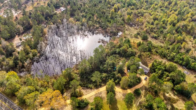 a view of a bunch of trees