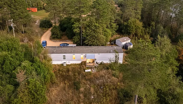 a view of a yard with plants and trees