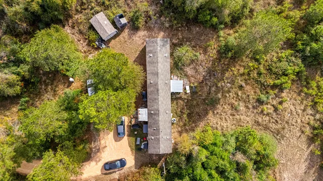 view of a yard with plants