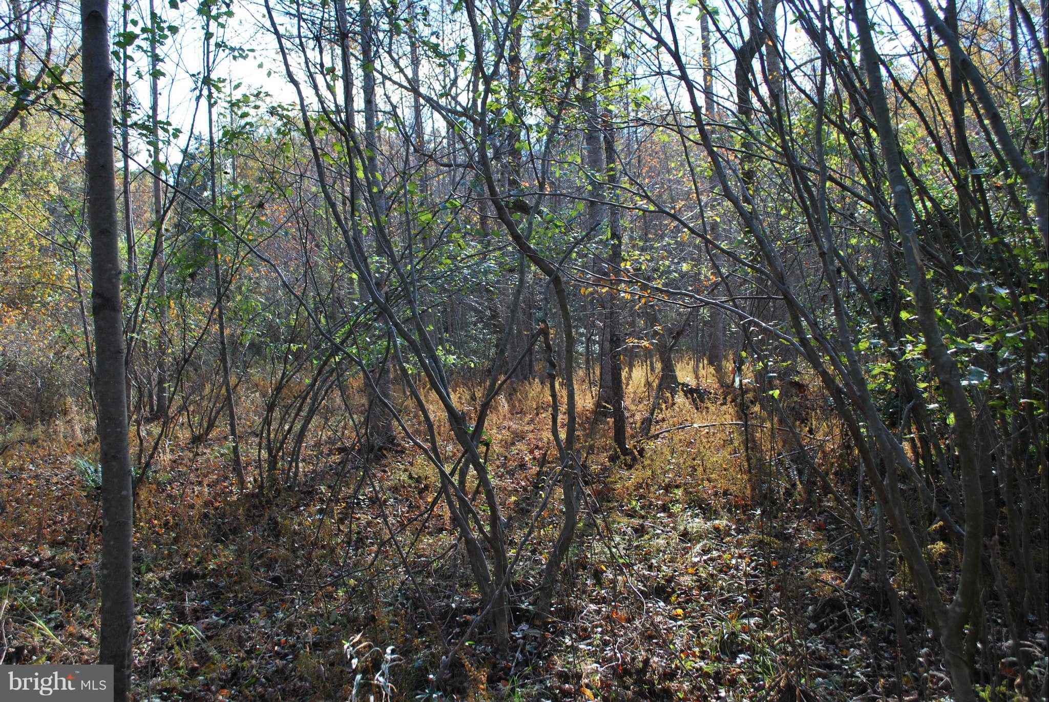 16314 Willis Road Orange, VA 22960 - Photo 2 of 3 View
