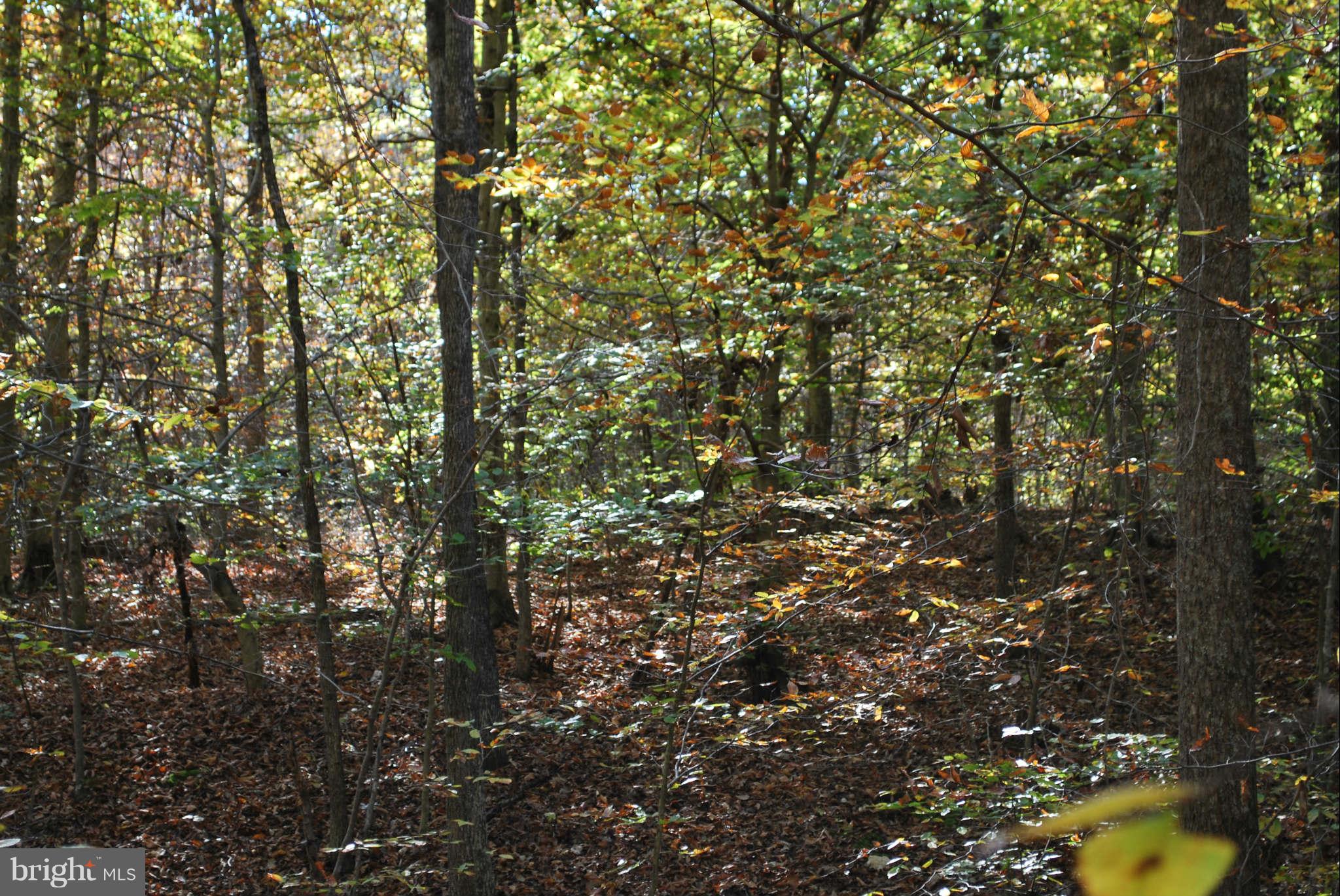 16314 Willis Road Orange, VA 22960 - Photo 3 of 3 View