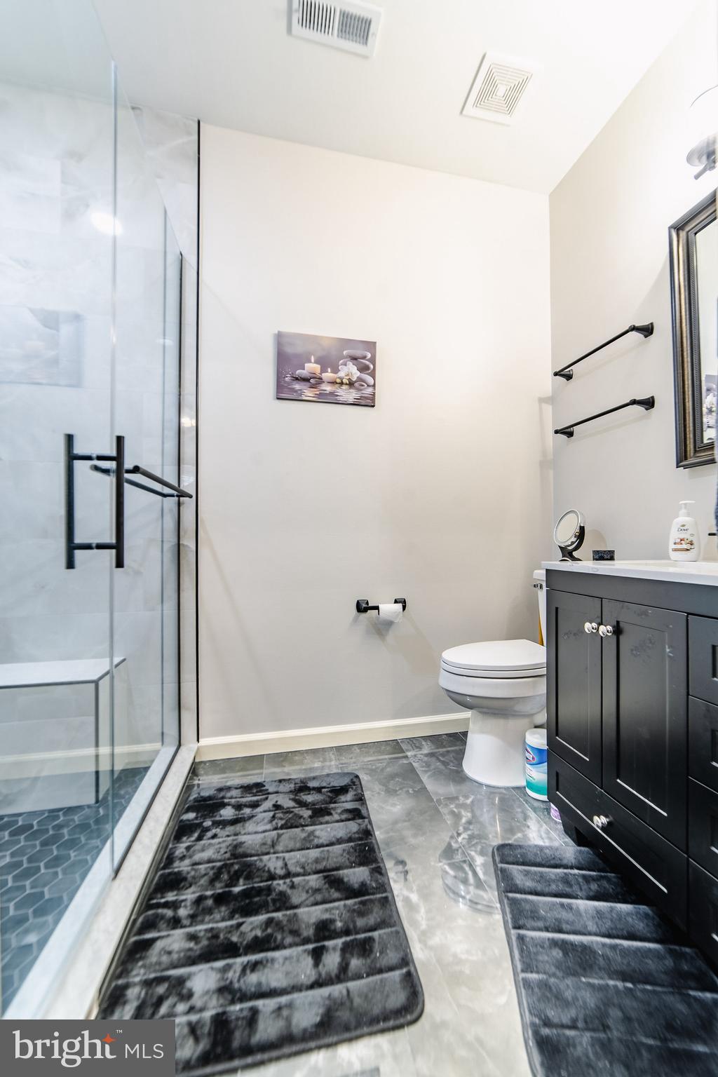 55 Hawk Rise Lane, Unit 303 Owings Mills, MD 21117 - Photo 22 of 30 Bathroom
