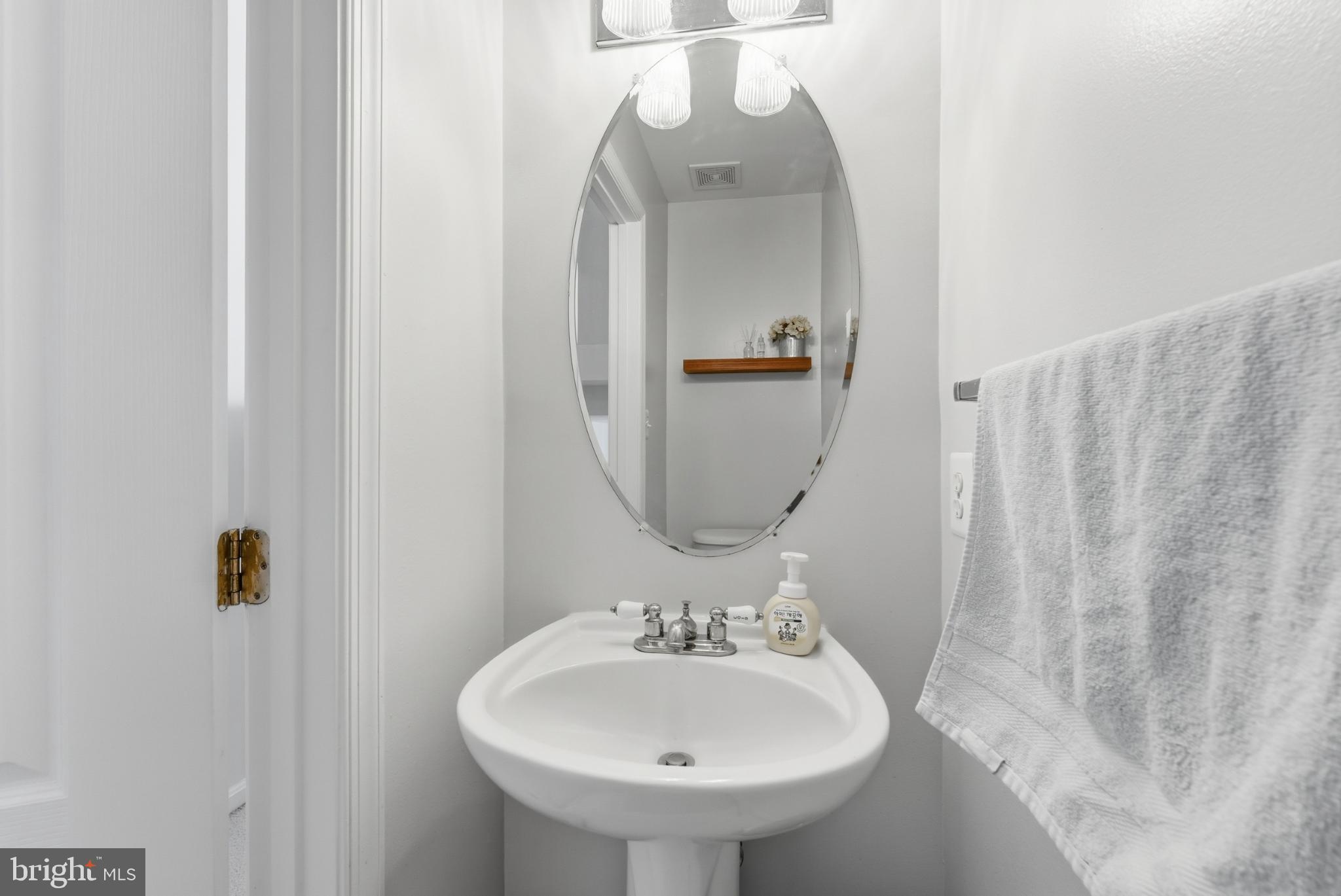 13993 Sawteeth Way Centreville, VA 20121 - Photo 5 of 44 a bathroom with a sink a mirror and shower curtain