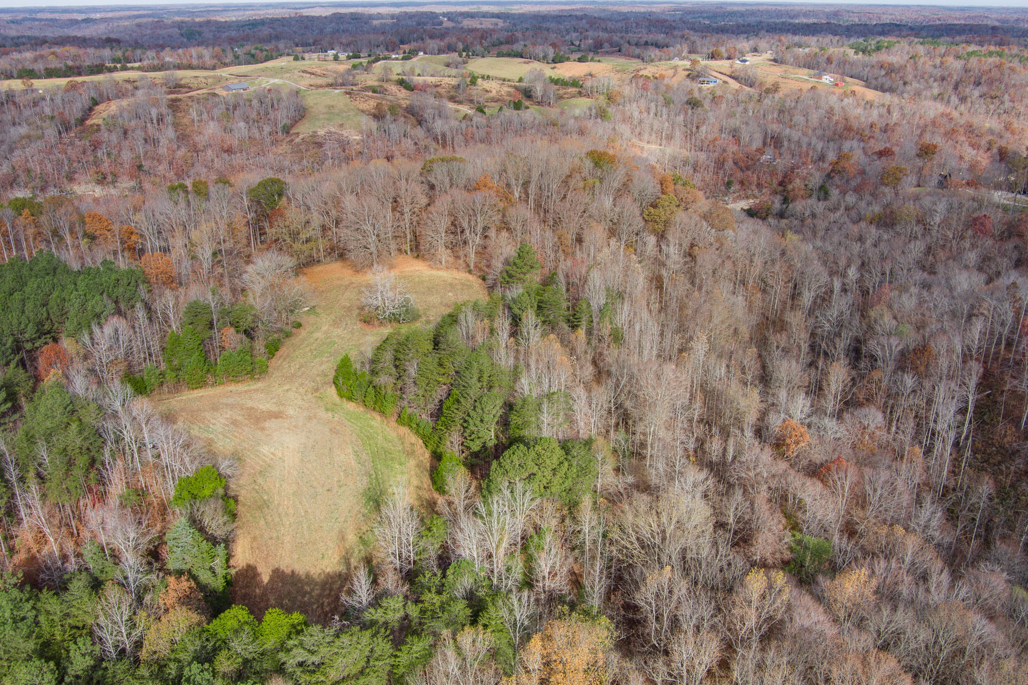 4580 3 Island Road Walling, TN 38587 - Photo 30 of 65 Gallery Image 30