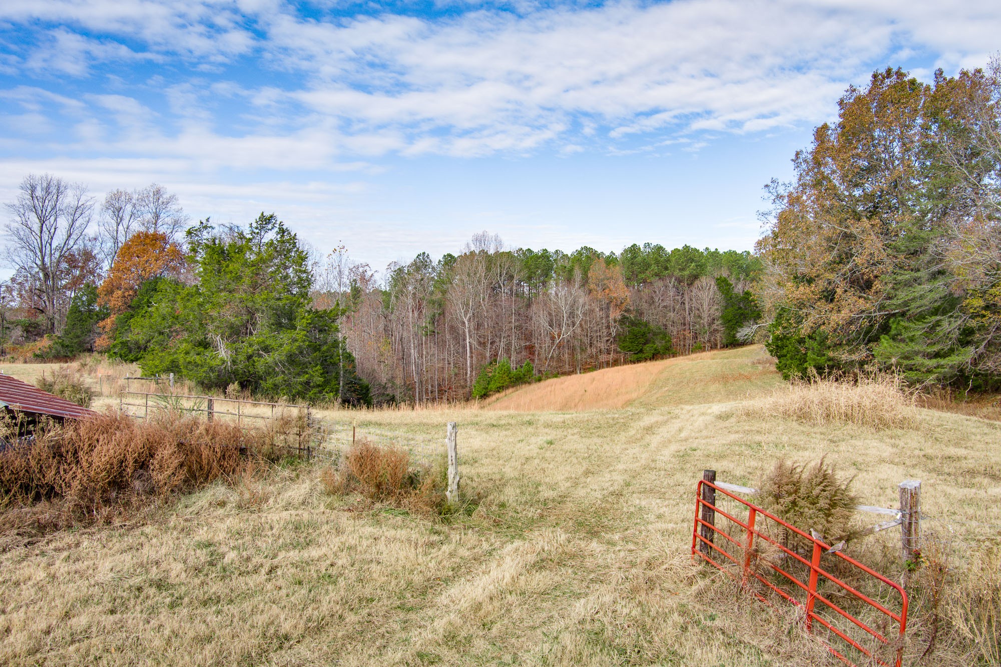 4580 3 Island Road Walling, TN 38587 - Photo 49 of 65 Gallery Image 49