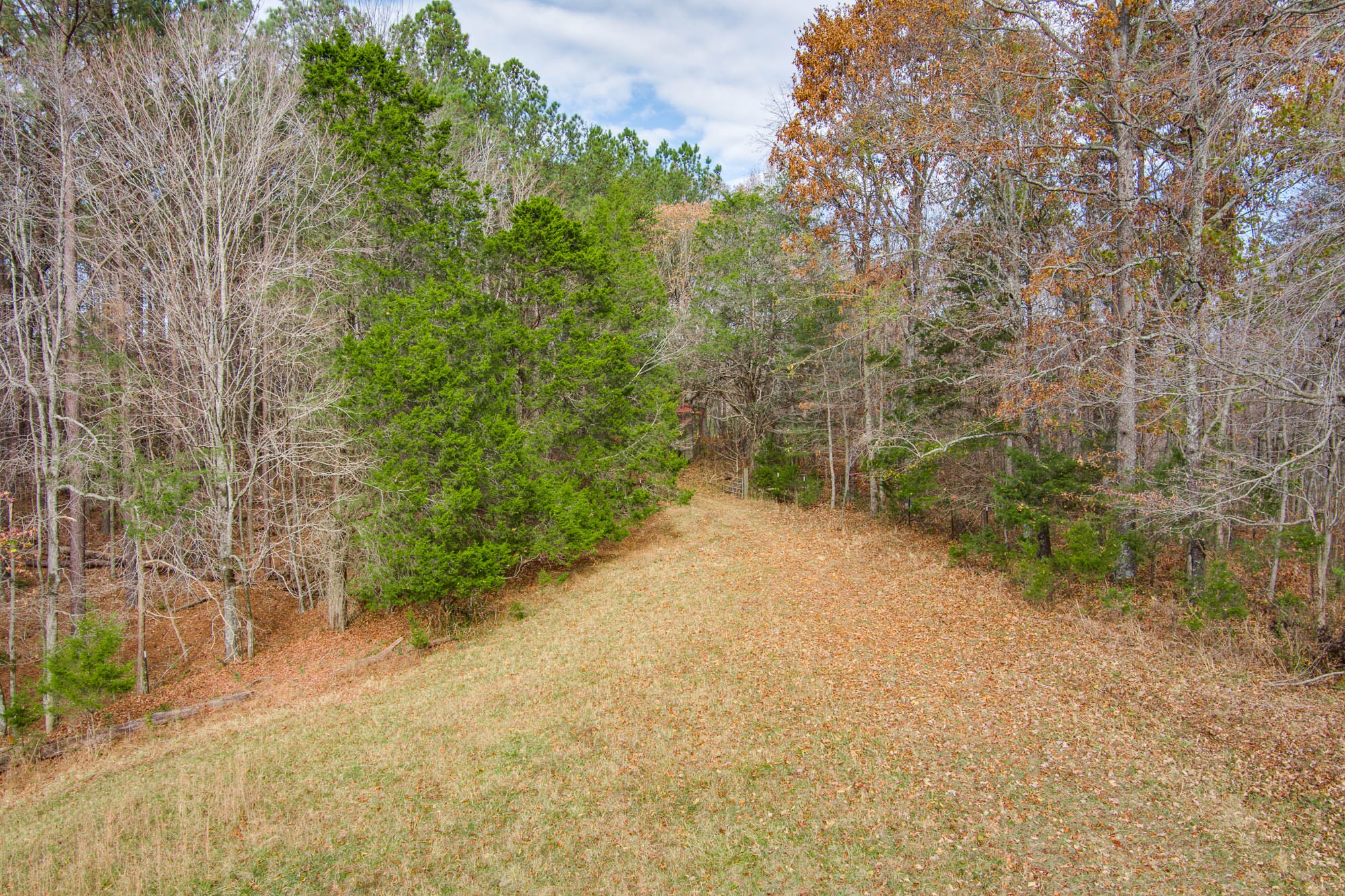 4580 3 Island Road Walling, TN 38587 - Photo 53 of 65 Gallery Image 53