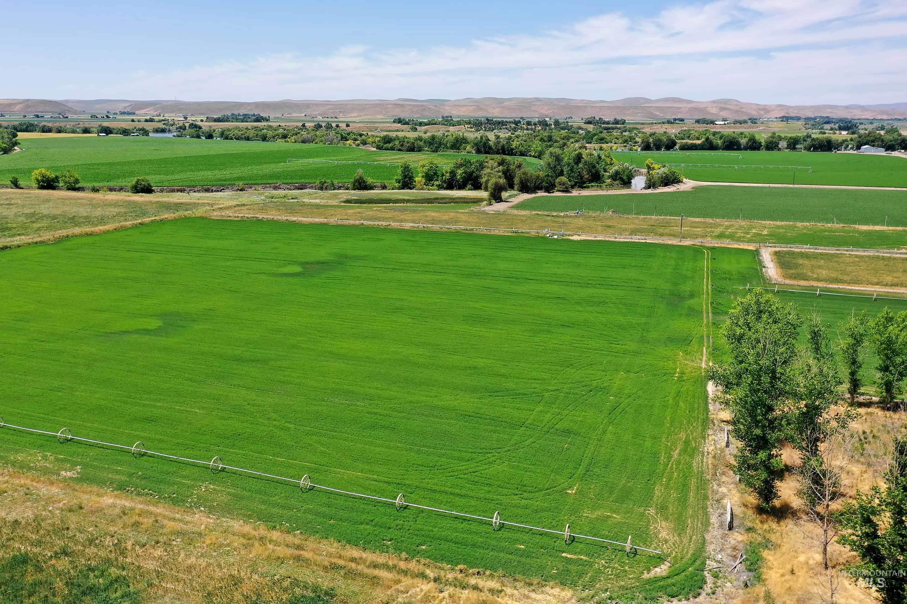 Tbd Ross Road Weiser, ID 83672 - Photo 3 of 14