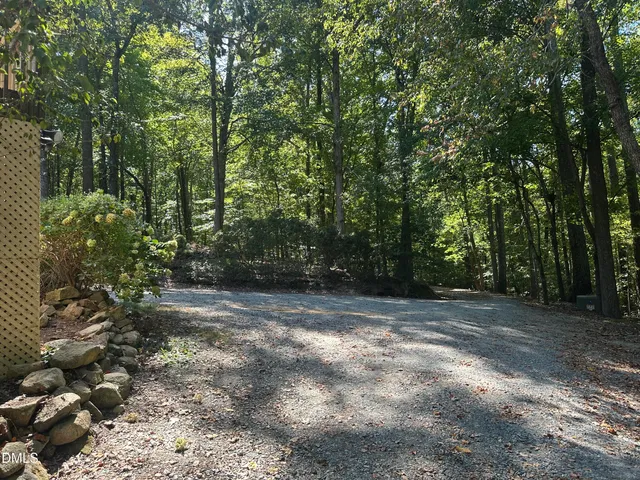 a view of a forest with trees in the background