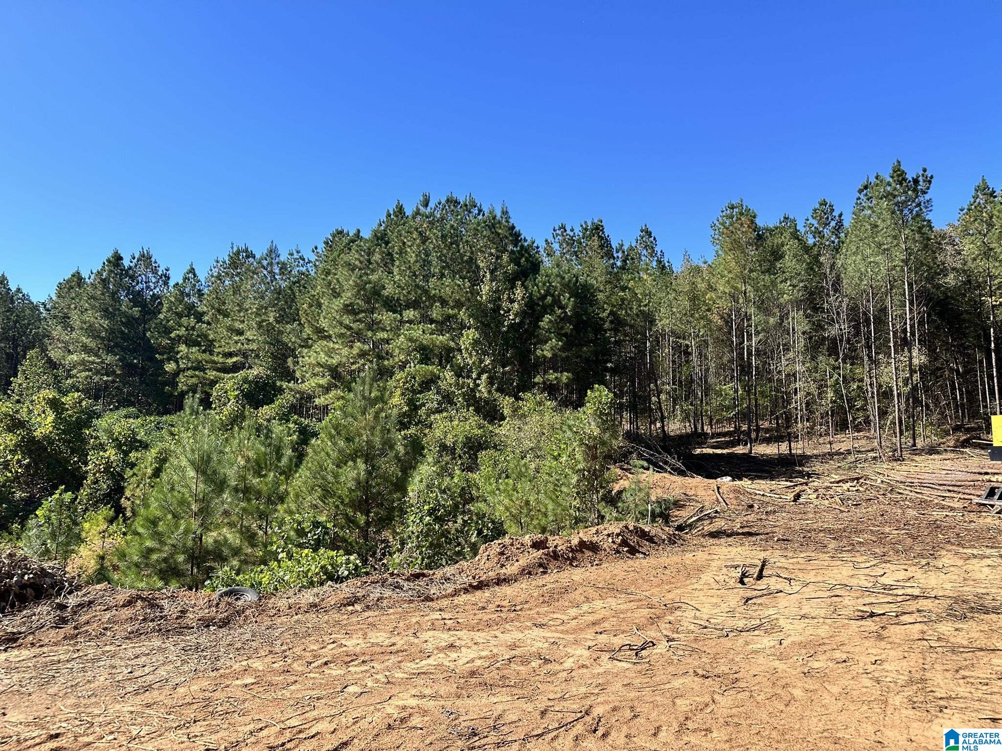 0 Rabbittown Road Piedmont, AL 36272 - Photo 3 of 7