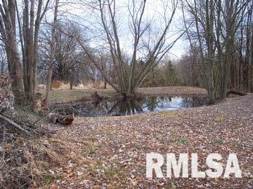 795 Jenny Ridge Road Carrier Mills, IL 62917 - Photo 3 of 4 Gallery Image 3