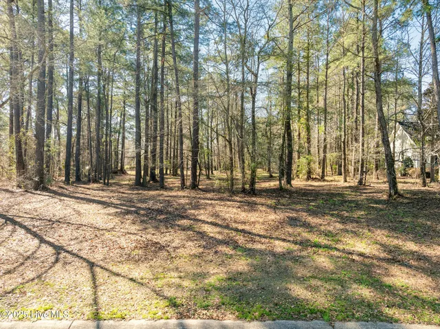 $38,250 | 262 West Winding Way, Wallace, NC 28466