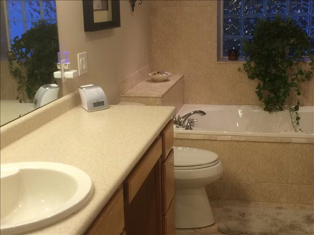 4100 West Temperance Road Ottawa Lake, MI 49267 - Photo 11 of 19 Full Bathroom