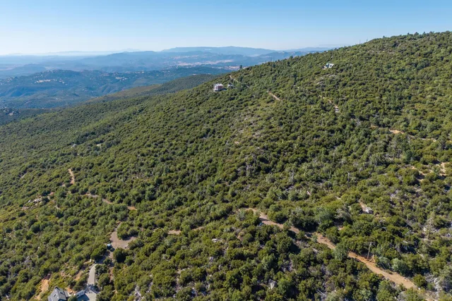 a view of a large green field