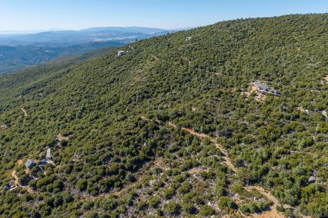 a view of a large mountain with lots of trees