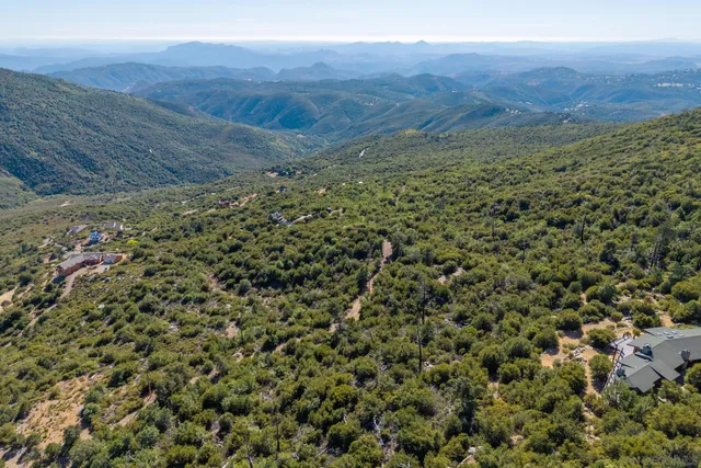a view of a field with a forest