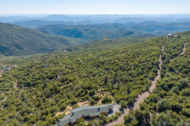 a view of a lush green field with lots of bushes
