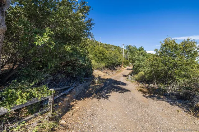 a view of a road with a trees