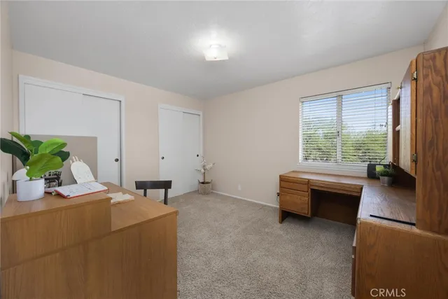 a room with furniture and a potted plant