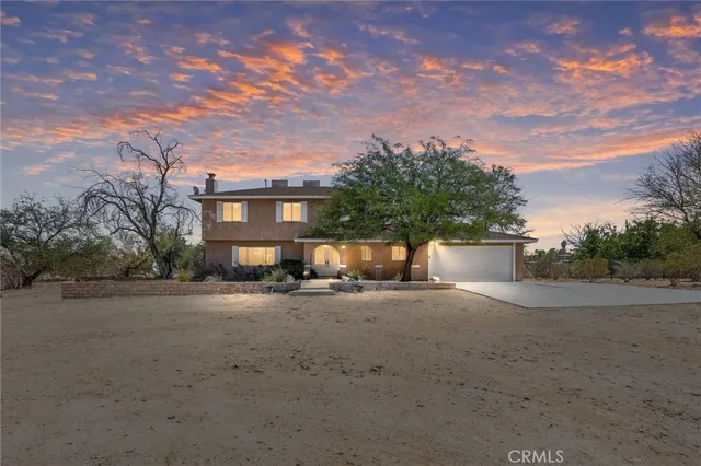 a small pool with a potted plant