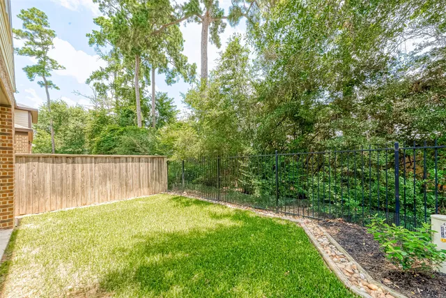 a view of a backyard with a large tree and wooden fence
