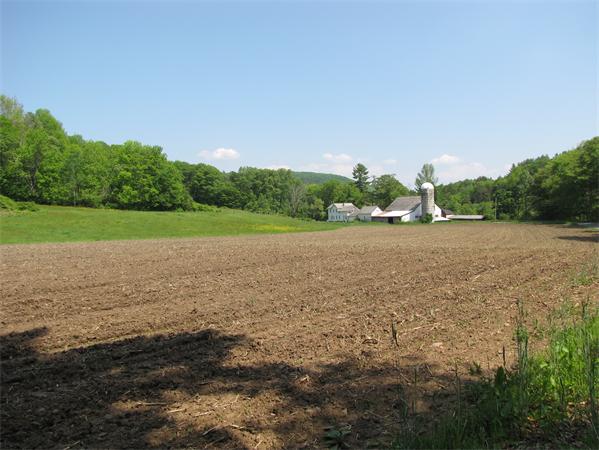 497 Adamsville Road Colrain, MA 01340 - Photo 1 of 28 a view of a field with an ocean
