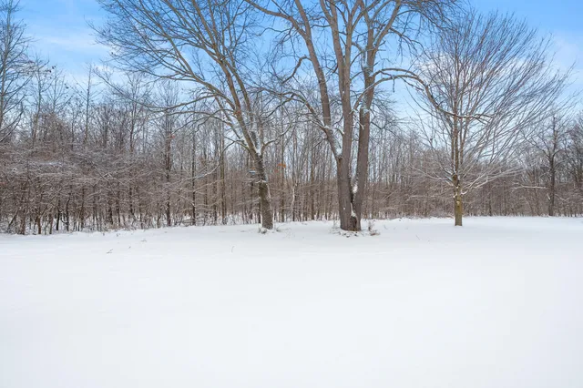 $470,000 | 223 Leo Drive, Burlington, MI 49029