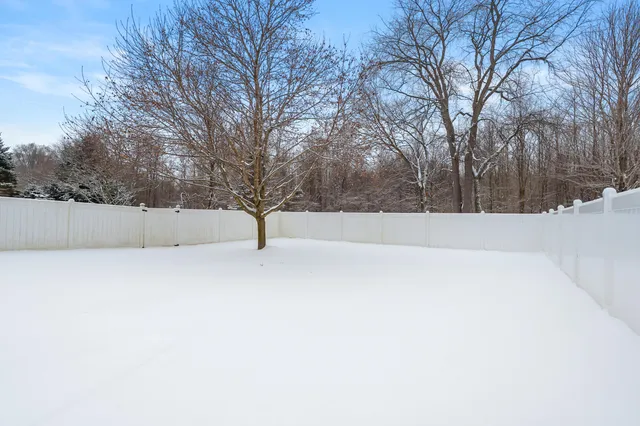 $470,000 | 223 Leo Drive, Burlington, MI 49029