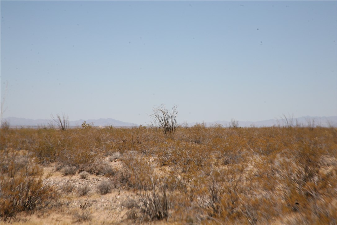 207-17-097 South Cameron Road Yucca, AZ 86438 - Photo 9 of 34