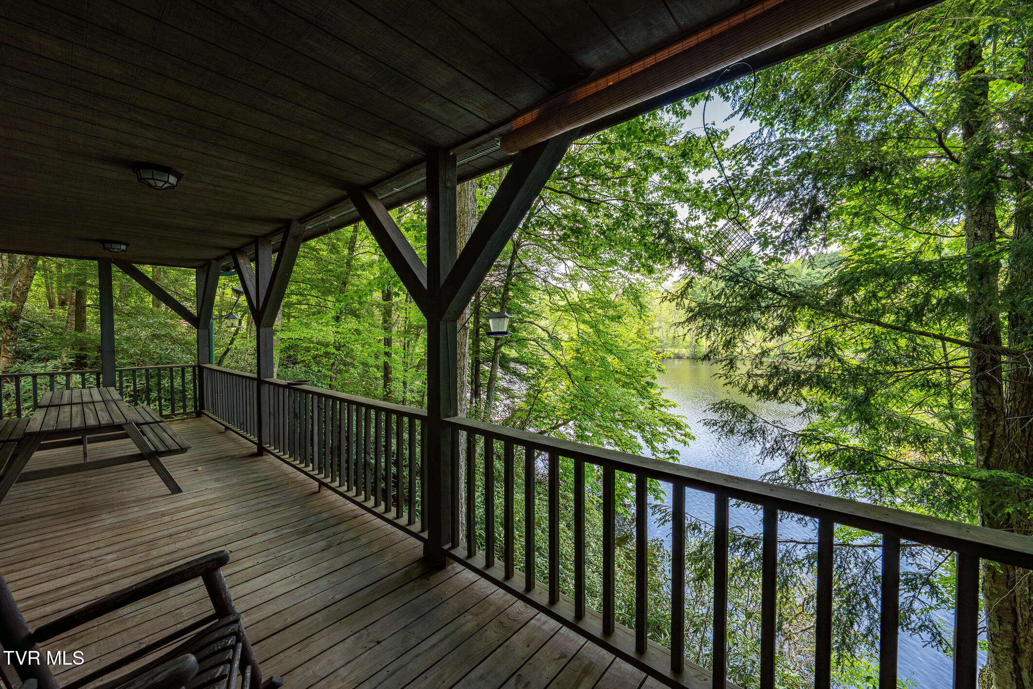170 Ripshin Lake Road Roan Mountain, TN 37687 - Photo 45 of 64 170 Ripshin Lake Rd (15 of 73)