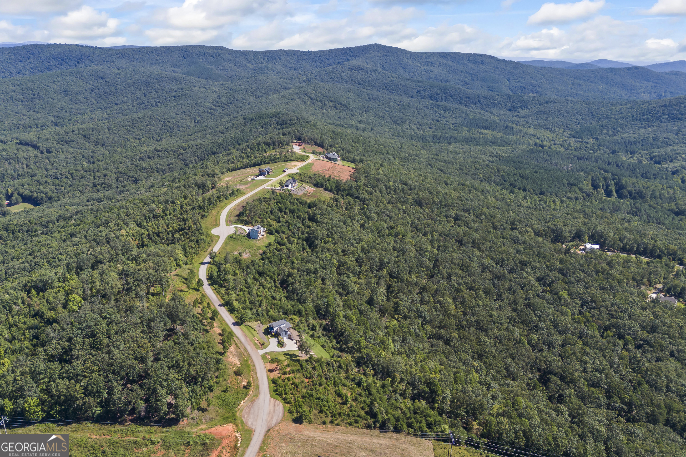 Lot 36 Mountain Ridge Drive Clarkesville, GA 30523 - Photo 12 of 35 a view of a yard in a field
