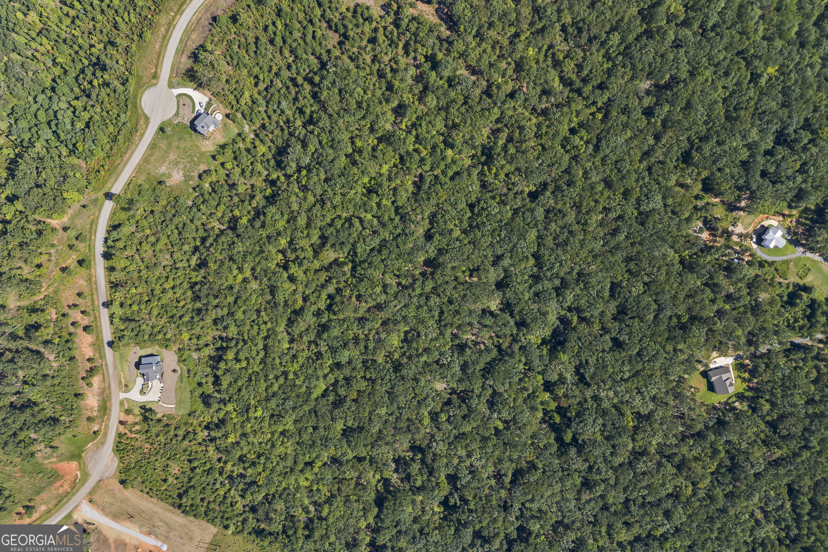 Lot 36 Mountain Ridge Drive Clarkesville, GA 30523 - Photo 14 of 35 a bird view of a tree