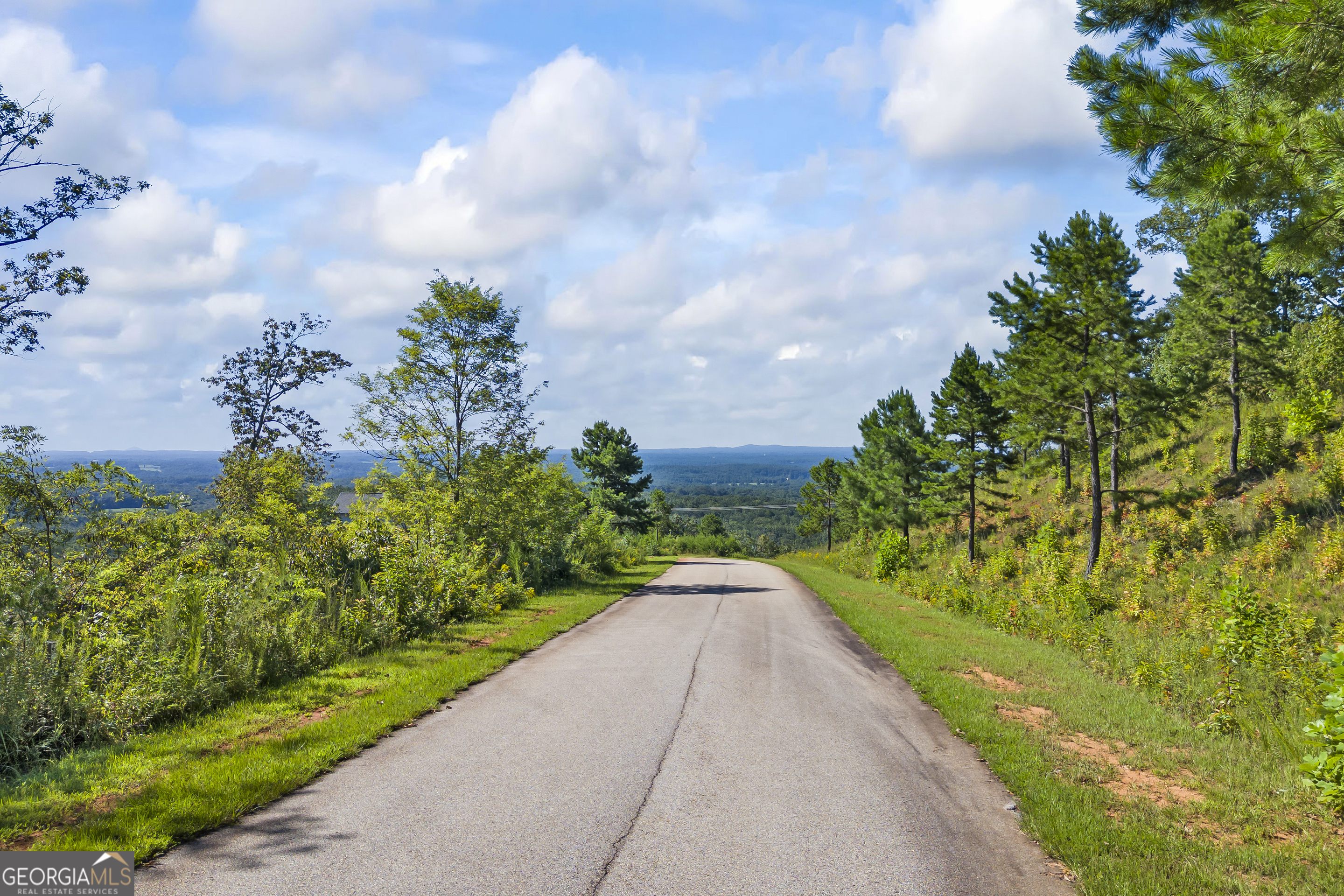 Lot 36 Mountain Ridge Drive Clarkesville, GA 30523 - Photo 15 of 35