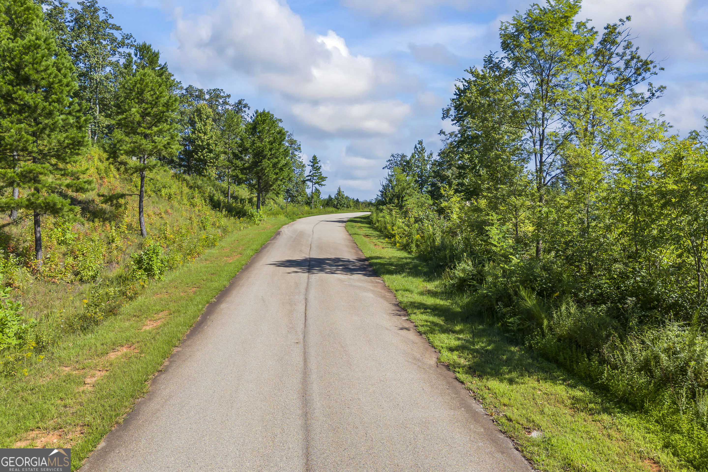 Lot 36 Mountain Ridge Drive Clarkesville, GA 30523 - Photo 16 of 35 a view of flowing water with large trees